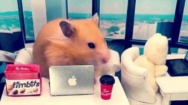 ¡Tú **decides** si esto es para ti!
